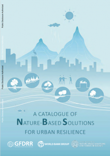 A Catalogue of Nature-Based Solutions for Urban Resilience