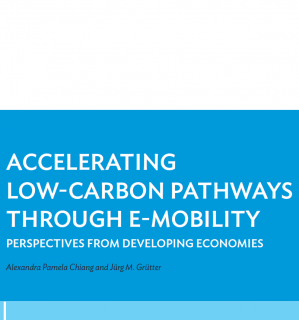 Accelerating Low Carbon Pathways Through E-Mobility