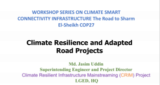 Climate Resilience and Adapted Road Projects