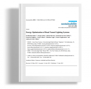 Energy optimization of road tunnel lighting systems