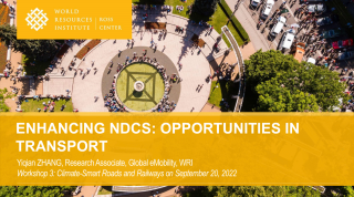 Enhancing NDCS - Opportunities in Transport