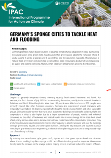 Germany’s Sponge Cities to Tackle Heat and Flooding