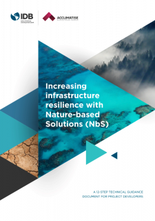 Increasing Infrastructure Resilience with Nature-Based Solutions (NbS)