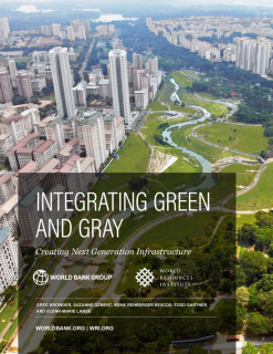 Integrating Green and Gray Creating Next Generation Infrastructure