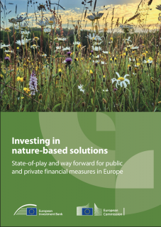 Investing in Nature-Based Solutions State-of-Play and Way Forward for Public and Private Financial Measures in Europe