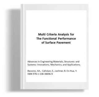 Multi criteria analysis for the functional performance of surface pavement