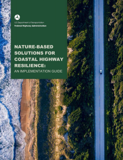 Nature Based Solutions for Coastal Highway Resilience