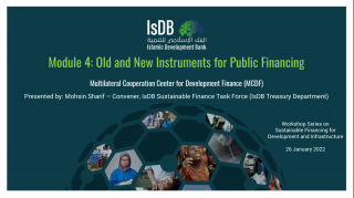 Old and New Instruments for Public Financing