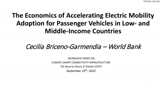 The Economics of Accelerating Electric Mobility Adoption for Passenger Vehicles in Low- and Middle-Income Countries