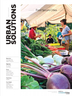 Urban Solutions Issue 14