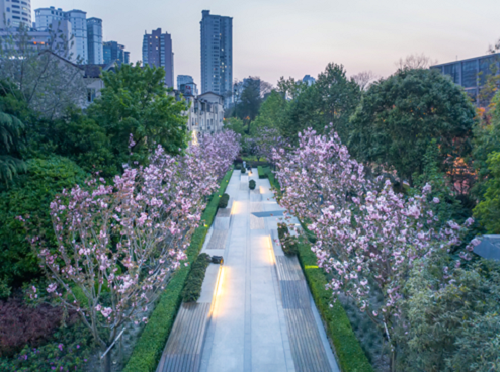 Review of Nature Based Solutions Application in the Upgrading of Nanjing West Road in Shanghai